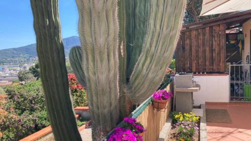 Casa Il Cactus – Photos 4