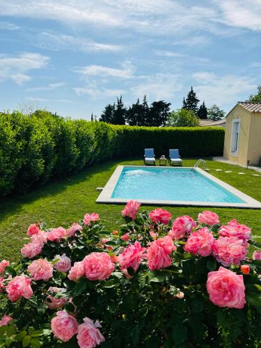 uma piscina com rosas rosas no quintal em Un coin tropical en Provence ! em LʼIsle-sur-la-Sorgue