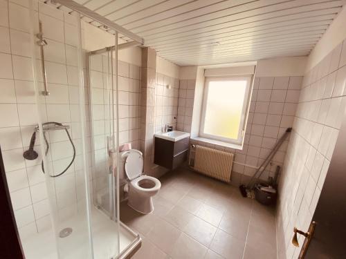 La salle de bains est pourvue de toilettes, d'une douche et d'une fenêtre. dans l'établissement PETiT MULHOUSE 301 - Lovely appartement - Cuisine - Wifi, à Mulhouse
