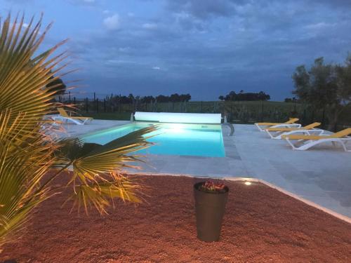 een zwembad met ligstoelen en een palmboom bij O’gîtes des colombes in Colombiers