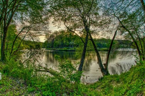a view of a river through a group of trees at Charming Murphy House with Deck and River Views! in Murphy