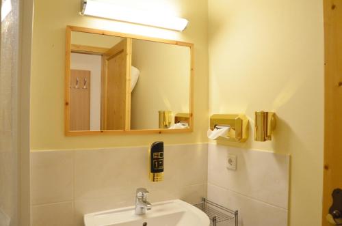 ein Bad mit einem Waschbecken und einem Spiegel in der Unterkunft Hoferbauergut in Strobl