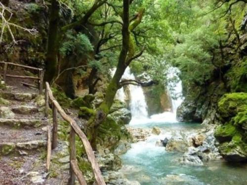 a waterfall in a forest next to a river at Stella in Panasós