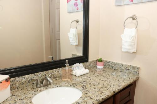 uma casa de banho com um lavatório e um espelho em East Downtown Hideaway em Houston