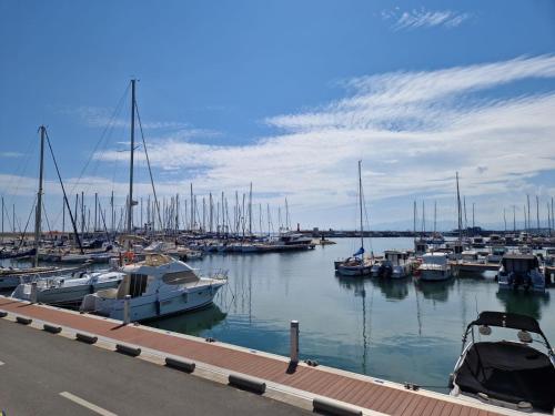 Mynd úr myndasafni af Apartamentosbiamar í Cambrils