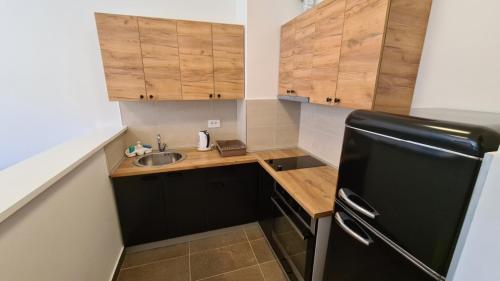 a small kitchen with a sink and a black refrigerator at Porta di Zemun in Novi Grad