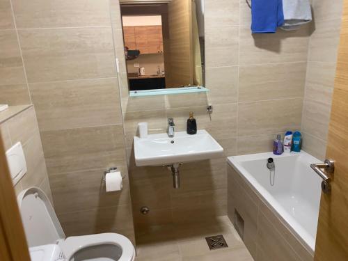 a bathroom with a sink and a toilet and a mirror at Porta di Zemun in Novi Grad