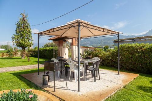 Airone in Versilia – Photos 3