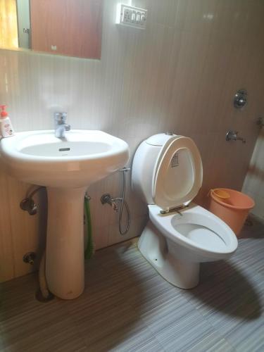 a bathroom with a white sink and a toilet at Serdung Guest House in Leh