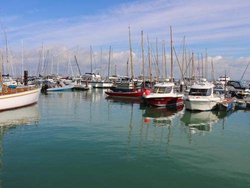 a bunch of boats are docked in the water at Willow Cabin in Cowes