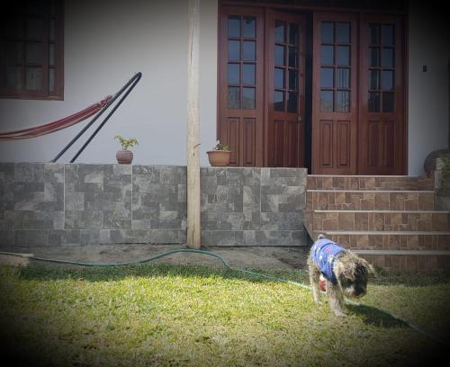 Gallery image of Lunahuaná CASA DE CAMPO PAULLU in Lunahuaná
