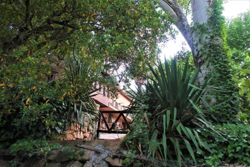 a house obscured by trees and a plant at Masia Sagués in Poblet