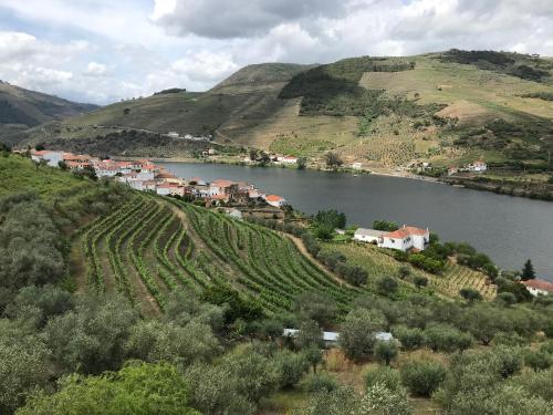 una pequeña ciudad en una colina junto a un río en Casa José Lourenço en Folgosa