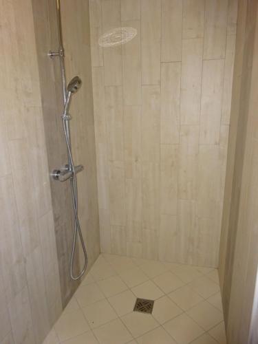 een douche met een douchekop in de badkamer bij Chez Axeline in Châtillon-sur-Cher