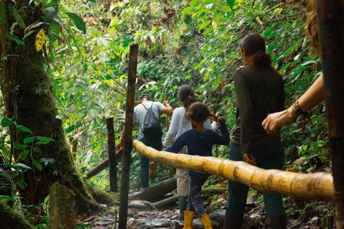 a group of people walking in the jungle at Cotococha Amazon River Lodge in Tena