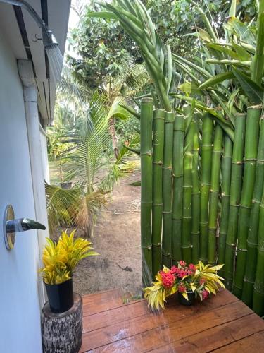 Gallery image of Coral Beach Cabana -- Eco Adventure Ocean Front Villa On 3km Beach in Savusavu