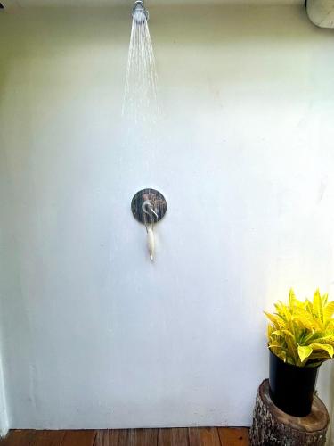 Gallery image of Coral Beach Cabana -- Eco Adventure Ocean Front Villa On 3km Beach in Savusavu