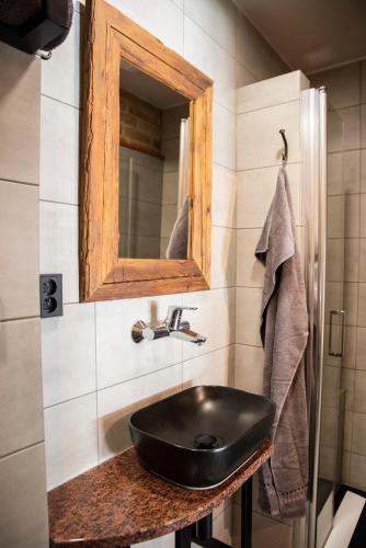 a bathroom with a black sink and a mirror at Ecitlav - ubytování Valtice in Valtice