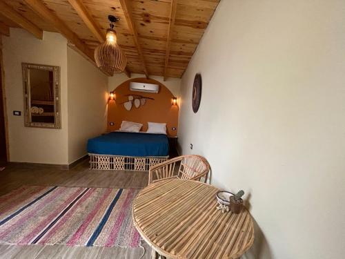 Gallery image of Habiba Beach Lodge in Nuweiba