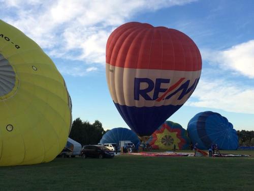 a group of hot air balloons on a field at Locanda Modigliani in Ferrara