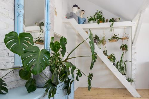 a room with shelves filled with plants at Studio Vintage na Kamiennej Górze in Gdynia