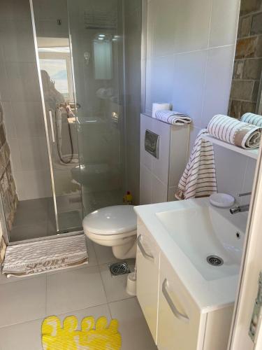 a bathroom with a shower and a toilet and a sink at Apartments Bibic in Budva