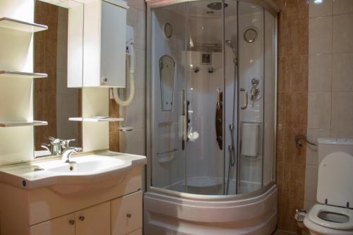 La salle de bains est pourvue d'une douche, d'un lavabo et de toilettes. dans l'établissement Motel Dani, à Nova Bila