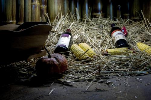 two bottles of wine sitting in hay with corn at Motel Dani in Nova Bila