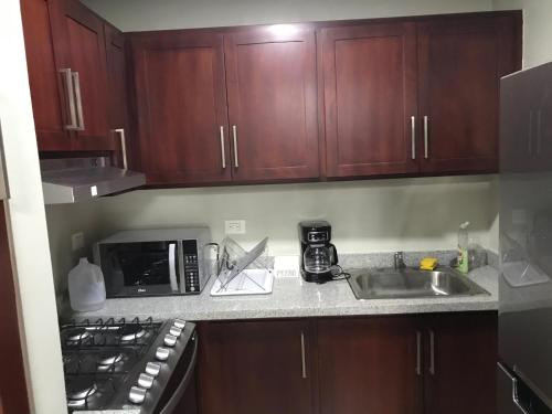 a kitchen with wooden cabinets and a sink and a microwave at Residencial Santa Rosa Apto 8 Section C in Moca