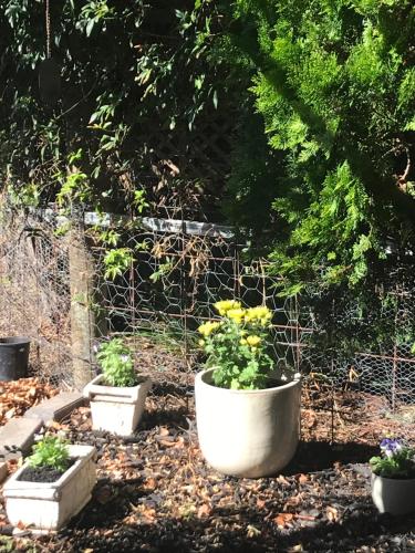 Κήπος έξω από το Birdsong Gardens