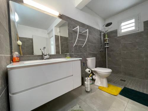 uma casa de banho com um lavatório e um WC em Appartement Frégate de la Pointe em Le Robert