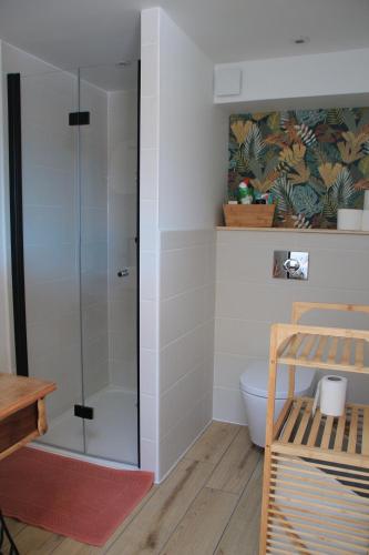 een badkamer met een douche en een toilet. bij Maison Ti Havre avec jardin privé dans village de pêcheurs à Brem sur mer ! in Brem-Sur-Mer