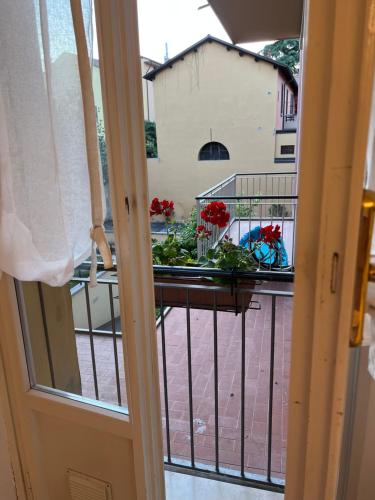 a view of a balcony with flowers in a basket at Moonlight Centro Bologna in Bologna