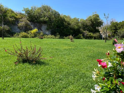 Κήπος έξω από το Le Palombelle Casa Vacanze