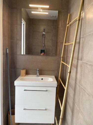 une salle de bain avec un lavabo et un miroir dans l'établissement Maison La capucine sur Quai de Seine, wifi, machine à laver, parking privé gratuit, à Vernon
