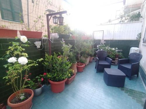 een patio met een bos potplanten bij Hospiton Home in Cagliari