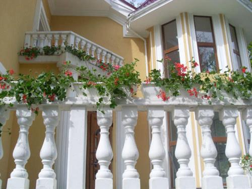 a white railing with geranium plants on it at Gnizdo Golubky in Shaian