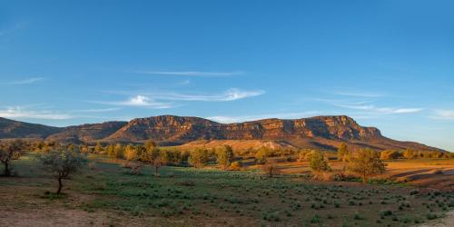 a view of the desert with mountains in the background at Rawnsley Park Station in Flinders Ranges