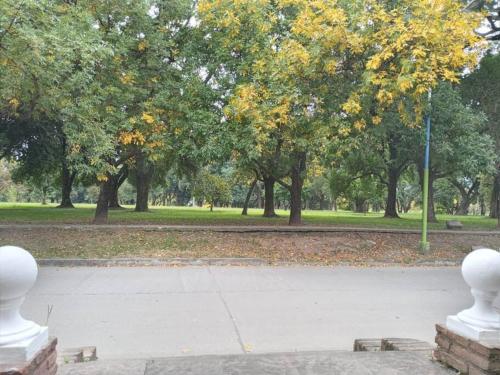 a park with trees and a sidewalk with white statues at Casa Frente Parque Guillermina in San Miguel de Tucumán