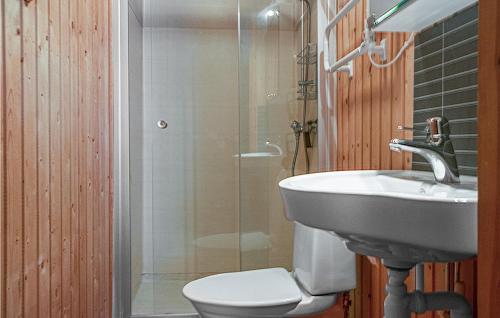 een badkamer met een wastafel, een toilet en een douche bij Stunning Home In Trysil With 5 Bedrooms, Sauna And Internet in Trysil
