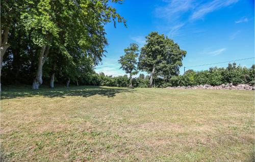 a large grass field with trees in the background at Amazing Home In Rydsgård With Kitchen in Rydsgård