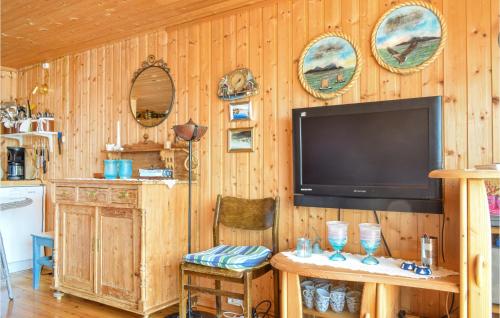 een woonkamer met een televisie aan een houten muur bij Lovely Home In Sgne With Wifi in Søgne
