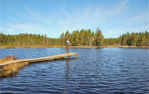 a man standing on a dock in the middle of a lake at Gorgeous Home In Kosta With Wifi in Kosta