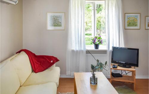 a living room with a couch and a television at Stunning Apartment In Rönneshytta in Rönneshytta