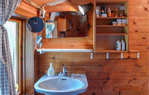 a bathroom with a sink and a mirror at Cozy Home In Dals-rostock With Kitchen in Dals Rostock