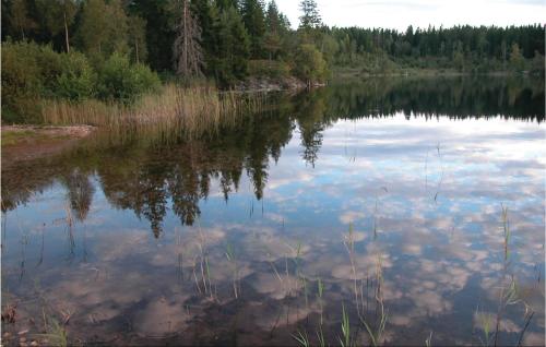 a lake with trees and clouds in the water at 2 Bedroom Cozy Home In Sysslebäck in Branäs