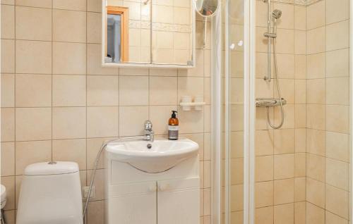 a bathroom with a shower and a sink and a toilet at Amazing Home In Mariefred With Wifi in Mariefred