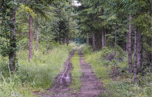 Naturlandschaft in der Nähe des Ferienhauses