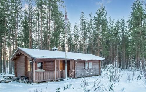 ein Blockhaus im Schnee mit amerikanischer Flagge in der Unterkunft Gorgeous Home In Atna With Wifi in Atnoset