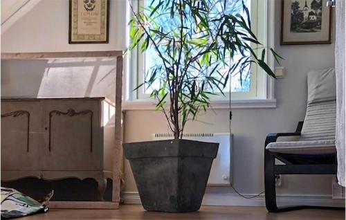 a plant in a large pot in a living room at 3 Bedroom Stunning Home In Lekeryd in Lekeryd